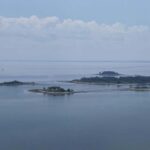 Norwalk: Paddleboard Rental at Calf Pasture Beach - Detailed Breakdown of the Experience