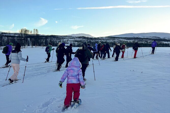 Norway Troms Snowshoe Activity with Guided Tour - Who Should Consider This Tour