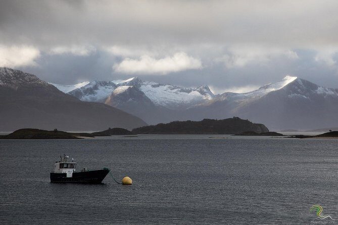Norwegian Fjords Tour, Including Professional Photos in Tromso - An In-Depth Look at the Fjords Tour
