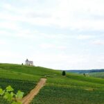Not Your Average Champagne Tour - Day Trip From Paris (Private) - The Sum Up