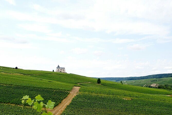Not Your Average Champagne Tour - Day Trip From Paris (Private) - The Sum Up