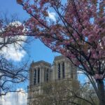 Notre Dame Ile De La Cité Walking Tour & Seine River Cruise - In-Depth Breakdown of the Tour