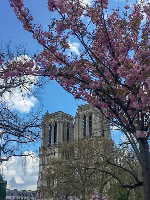 Notre Dame Ile De La Cité Walking Tour & Seine River Cruise - In-Depth Breakdown of the Tour
