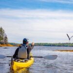 Nova Scotia: Guided Half-Day LaHave Islands Sea Kayak Tour - Who Would Not Love This Tour?