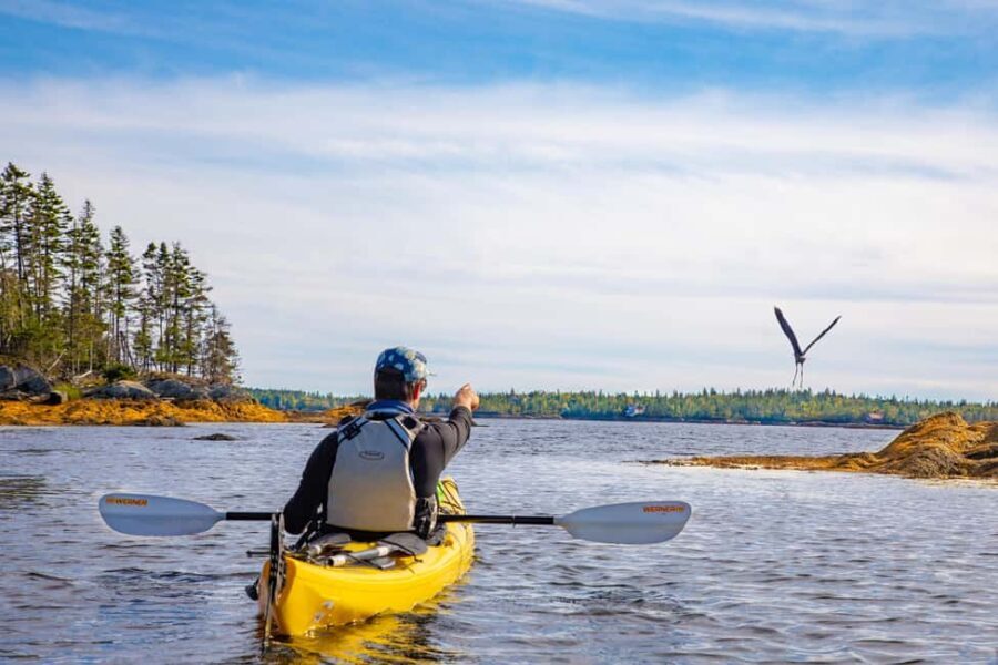Nova Scotia: Guided Half-Day LaHave Islands Sea Kayak Tour