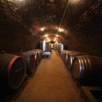 Novi Sad and Sremski Karlovci private tour with wine tasting - Exploring Novi Sad: The Heart of Vojvodina