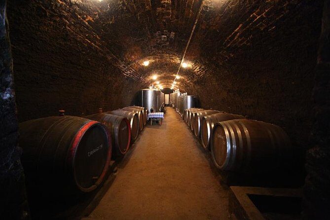 Novi Sad and Sremski Karlovci private tour with wine tasting - Exploring Novi Sad: The Heart of Vojvodina
