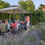 Novi Sad: Fruka Gora Wine Tasting with Local Bites - The Sum Up