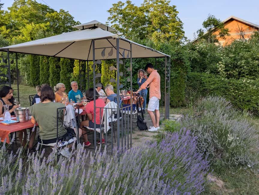 Novi Sad: Fruka Gora Wine Tasting with Local Bites - The Sum Up