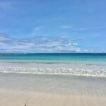 Novotel Nadi to Natadola Beach Round Trip - Detailed Breakdown of the Experience
