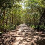 Novotel North E-Bike Tour - Authentic Traveler Perspectives