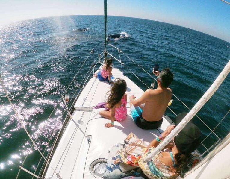 Nuevo Vallarta: Whale Watching by Sailboat Tour - Final Thoughts: Who Is This Tour Best For?