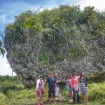 Nuku'alofa Shore Excursion: West Coast Scenic Tour - The Sum Up