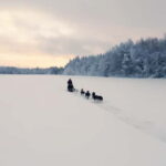 Nulkki Husky Adventure - An In-Depth Look at the Nulkki Husky Adventure