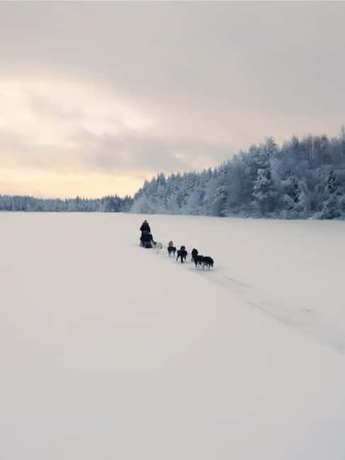 Nulkki Husky Adventure - An In-Depth Look at the Nulkki Husky Adventure