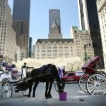NYC: Central Park Christmas Lights Horse-Drawn Carriage Ride - FAQ
