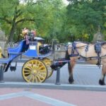 NYC: Central Park Horse-Drawn Carriage Ride - Key Points