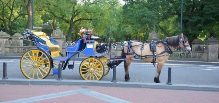 NYC: Central Park Horse-Drawn Carriage Ride - Key Points