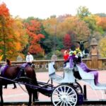 NYC: Central Park Horse-Drawn Carriage Ride (up to 4 Adults) - Final Thoughts: Is It Worth It?