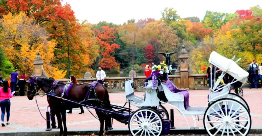 NYC: Central Park Horse-Drawn Carriage Ride (up to 4 Adults) - Final Thoughts: Is It Worth It?
