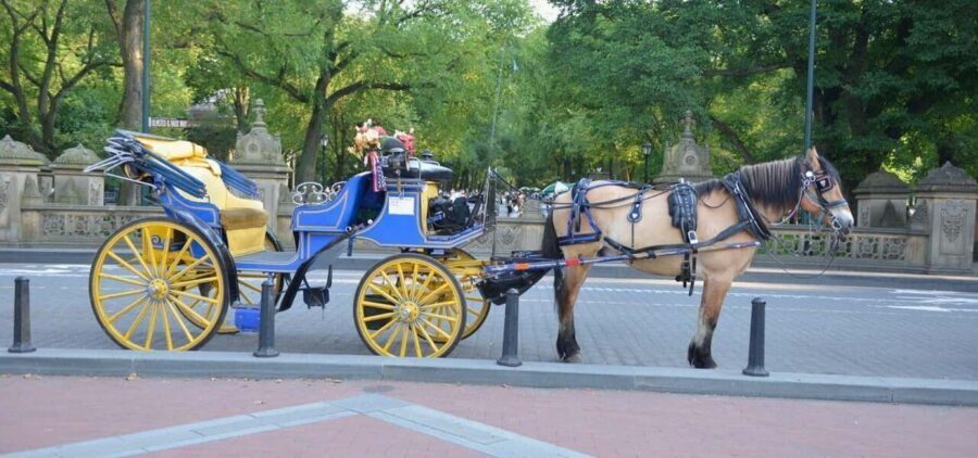 NYC: Central Park Horse-Drawn Carriage Ride - Key Points