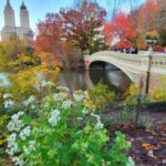 NYC: Central Park Secrets and Highlights Walking Tour - Exploring Iconic Landmarks