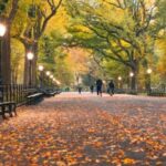 NYC: Central Park Zoo & Central Park Guided Walking Tour - Discovering Central Park: A Scenic and Cultural Treasure