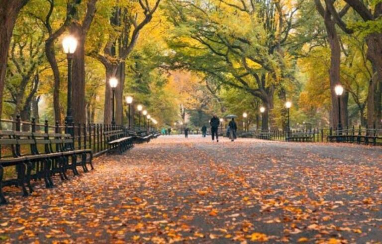 NYC: Central Park Zoo & Central Park Guided Walking Tour - Discovering Central Park: A Scenic and Cultural Treasure