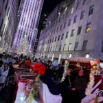 NYC: Christmas Lights Horse Carriage Ride - A Deeper Look at the Experience
