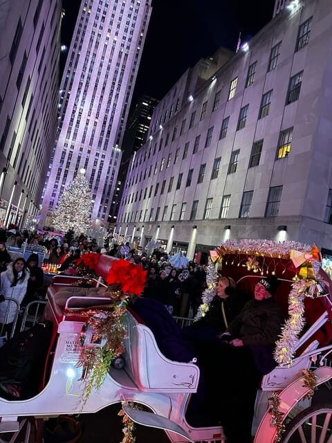 NYC: Christmas Lights Horse Carriage Ride - A Deeper Look at the Experience