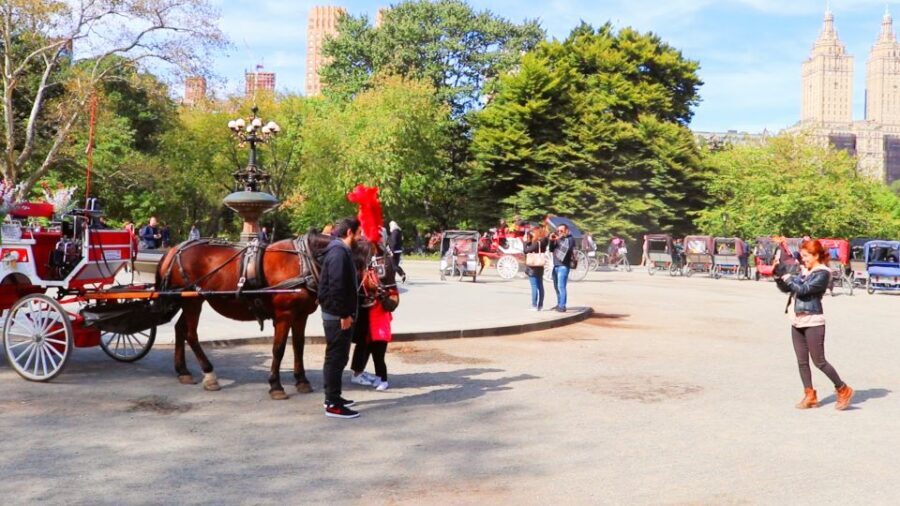 NYC: Guided Standard Central Park Carriage Ride (4 Adults) - FAQ