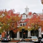 NYC: Hamptons Private Day Tour - Who Should Consider This Tour?