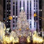 NYC: Holiday Lights and Dyker Heights Luxury Bus Tour - The Sum Up