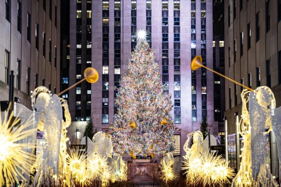 NYC: Holiday Lights and Dyker Heights Luxury Bus Tour - The Sum Up