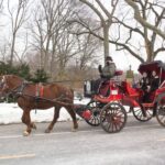 NYC Horse Carriage Ride in Central Park (65 min) - How Does It Compare Value-Wise?