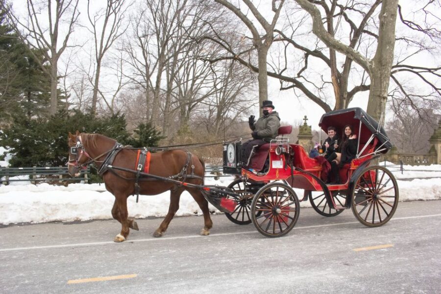 NYC Horse Carriage Ride in Central Park (65 min) - How Does It Compare Value-Wise?