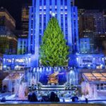 NYC: Magical Christmas Lights Carriage Ride - A Detailed Look at the NYC Christmas Carriage Ride