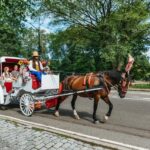 NYC MAGICAL NIGHT TIME RIDE Central Park/Rockefeller Center - Who Will Enjoy This Tour?