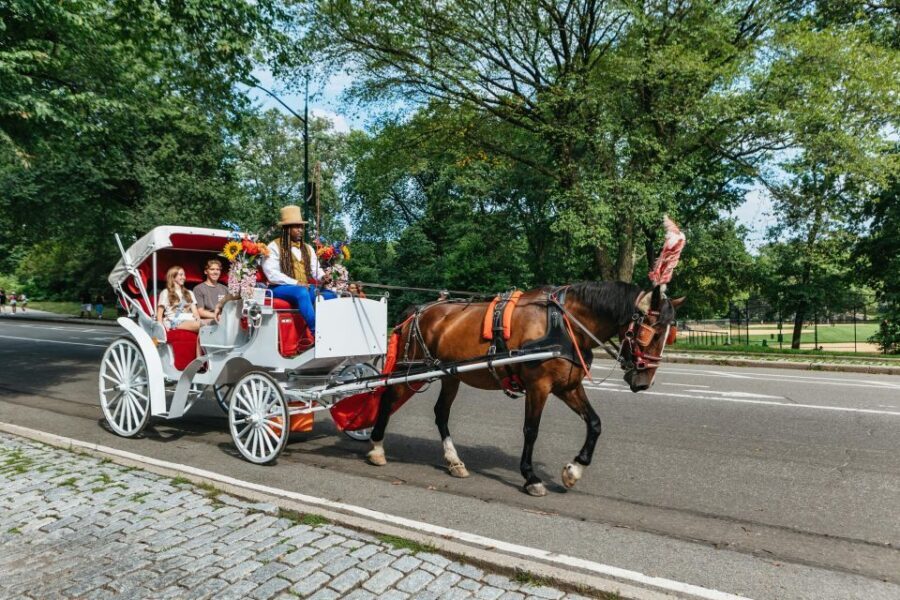 NYC MAGICAL NIGHT TIME RIDE Central Park/Rockefeller Center - Who Will Enjoy This Tour?