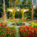 NYC: New York Botanical Garden Pass - Who Will Love This Experience?