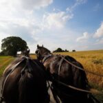 NYC: Niagara Falls, Philadelphia, Washington DC 4-Day Tour - What Does It All Mean for You?