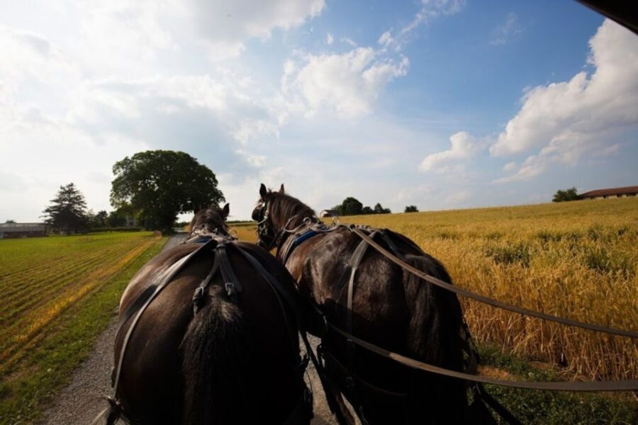 NYC: Niagara Falls, Philadelphia, Washington DC 4-Day Tour - What Does It All Mean for You?