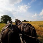 NYC: Philadelphia, Washington DC & Amish Country 2-Day Tour - Practical Considerations and Tips