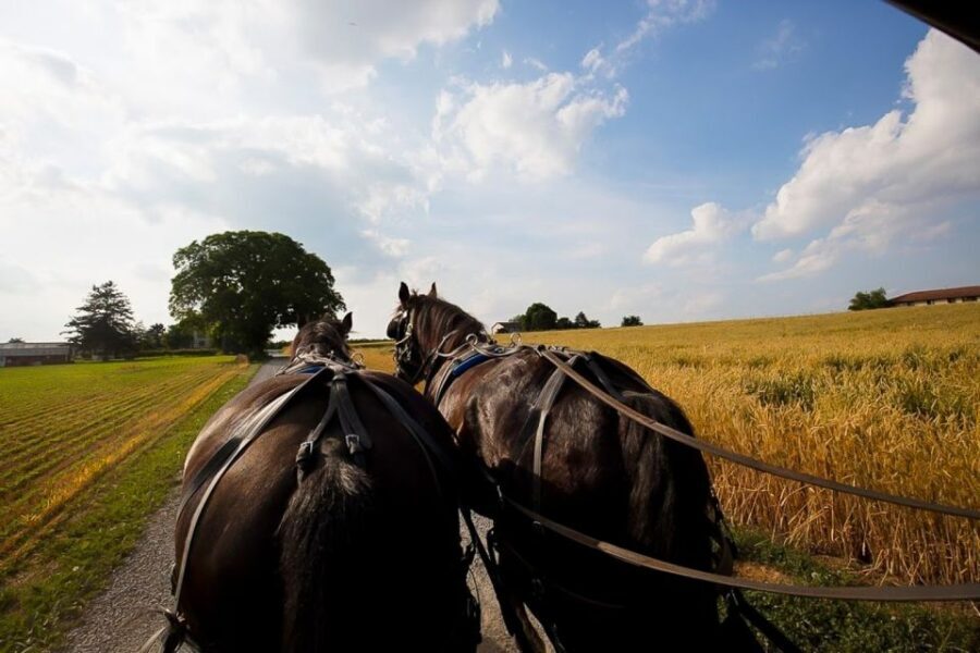 NYC: Philadelphia, Washington DC & Amish Country 2-Day Tour - Practical Considerations and Tips