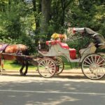 NYC Private Central Park Horse Carriage Ride with Guide - Who This Tour Is Best For