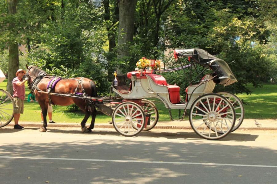 NYC Private Central Park Horse Carriage Ride with Guide - Who This Tour Is Best For