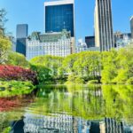 NYC: Private Central Park Pedicab Tours / PICKUP FROM MUSEUM - The Experience in Detail