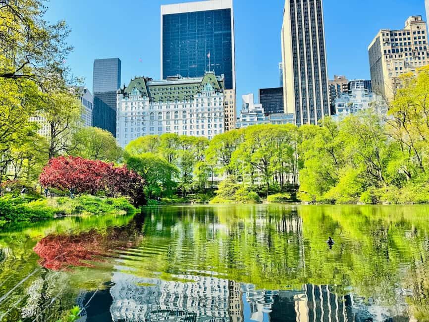 NYC: Private Central Park Pedicab Tours / PICKUP FROM MUSEUM - The Experience in Detail