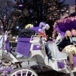NYC: Private Christmas Lights Horse Carriage Ride - A Closer Look at the Experience