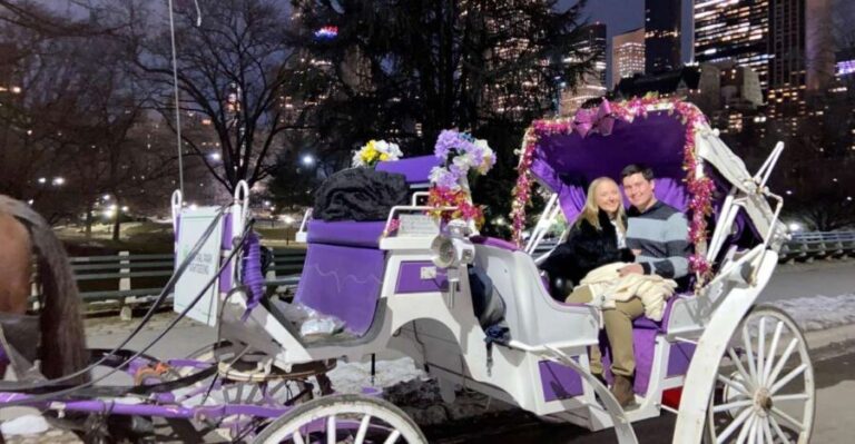 NYC: Private Christmas Lights Horse Carriage Ride - A Closer Look at the Experience